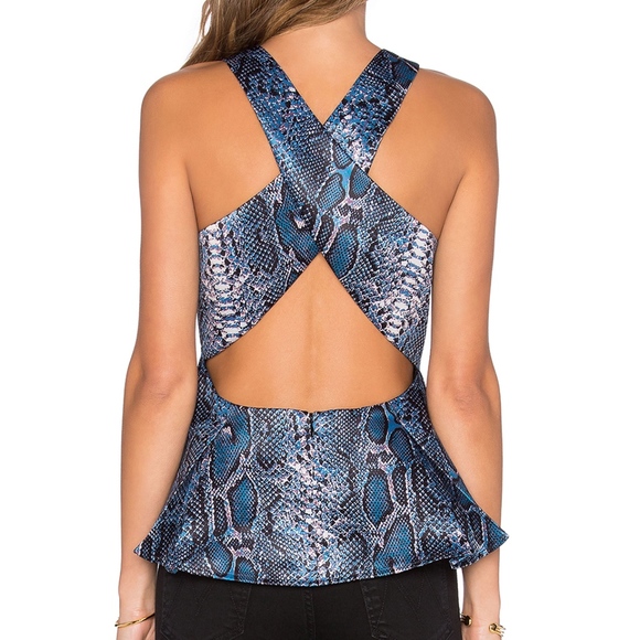 Python Top - Picture 2 of 2